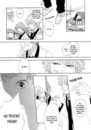 The Daydreamer Falls in Love