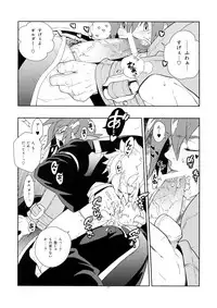 (SUPER17) [Article 60 of Criminal Code (Shuhan)] Tuberose. (Skies of Arcadia)