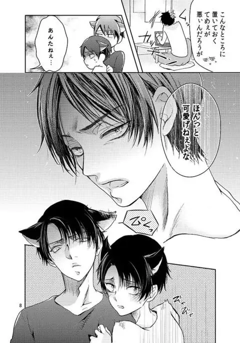 Futago neko hiroimashita