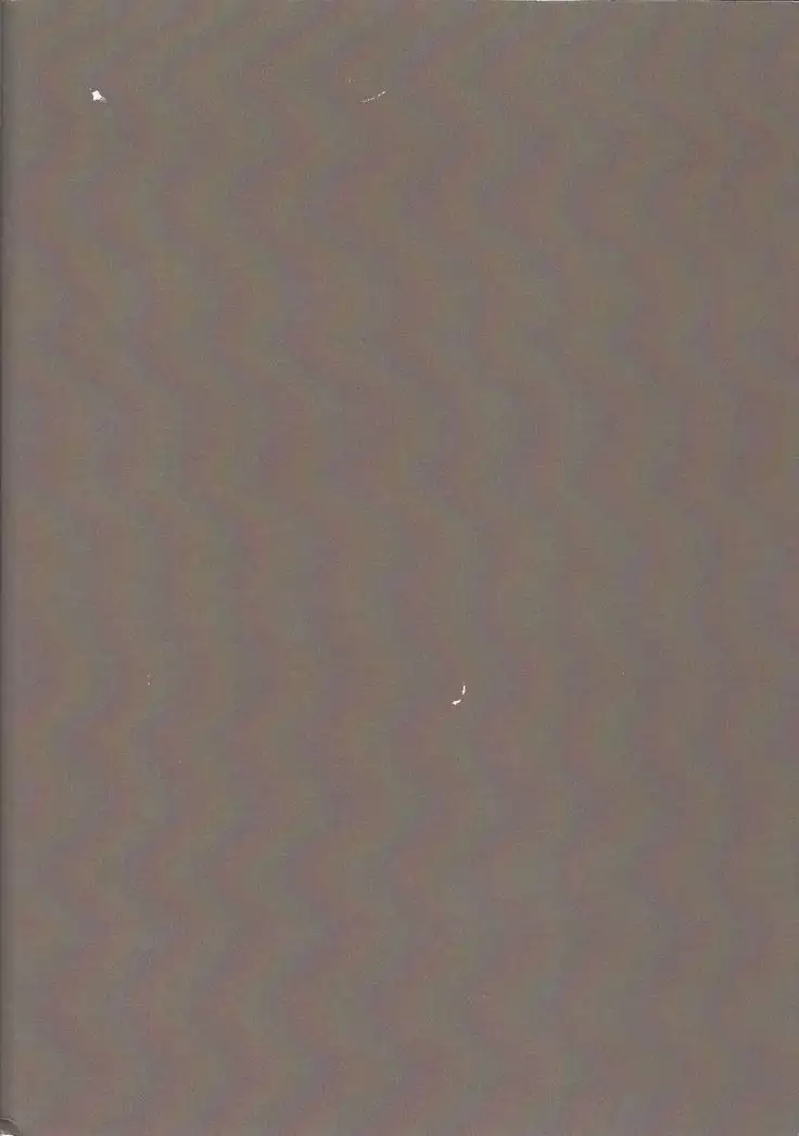 Sābisu tanomu ze ”onī-chan”?