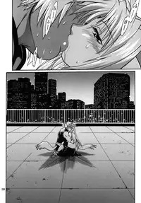 (SC34) [Studio Katsudon (Manabe Jouji)] Kemonotachi no Bansan (Mahou Shoujo Lyrical Nanoha)