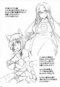 (C91) [Shirakaba Doori (DRY)] R11 (Fate/stay night)