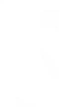 Shiro Kuro Tora Plus