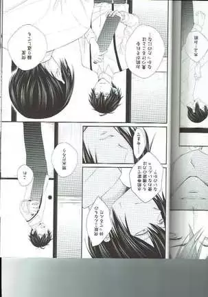 Petals Falling on Rippling Waters