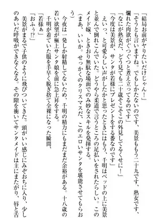 年上メイドの新婚日記