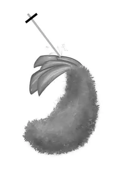 Ebi Fry Sou Uke Anthology