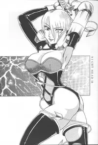 (C57) [Circle Taihei-Tengoku (Aratamaru)] NIGHT HEAD 10 (SoulCalibur, Viper GTS)