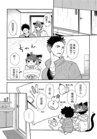 我想成为小岩的猫5I want to become Iwa-chan's Cat! 5