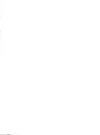 (C56) [Negimaers (Various)] Negima Zone II