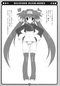 (SC40) [Dragon Kitchen (Sasorigatame)] DELICIOUS KLEIN+BERRY (Macross Frontier)