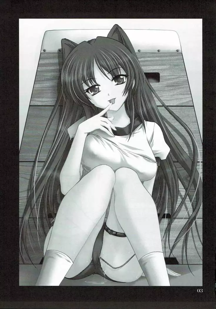 Abareneko no Shitsukekata 2