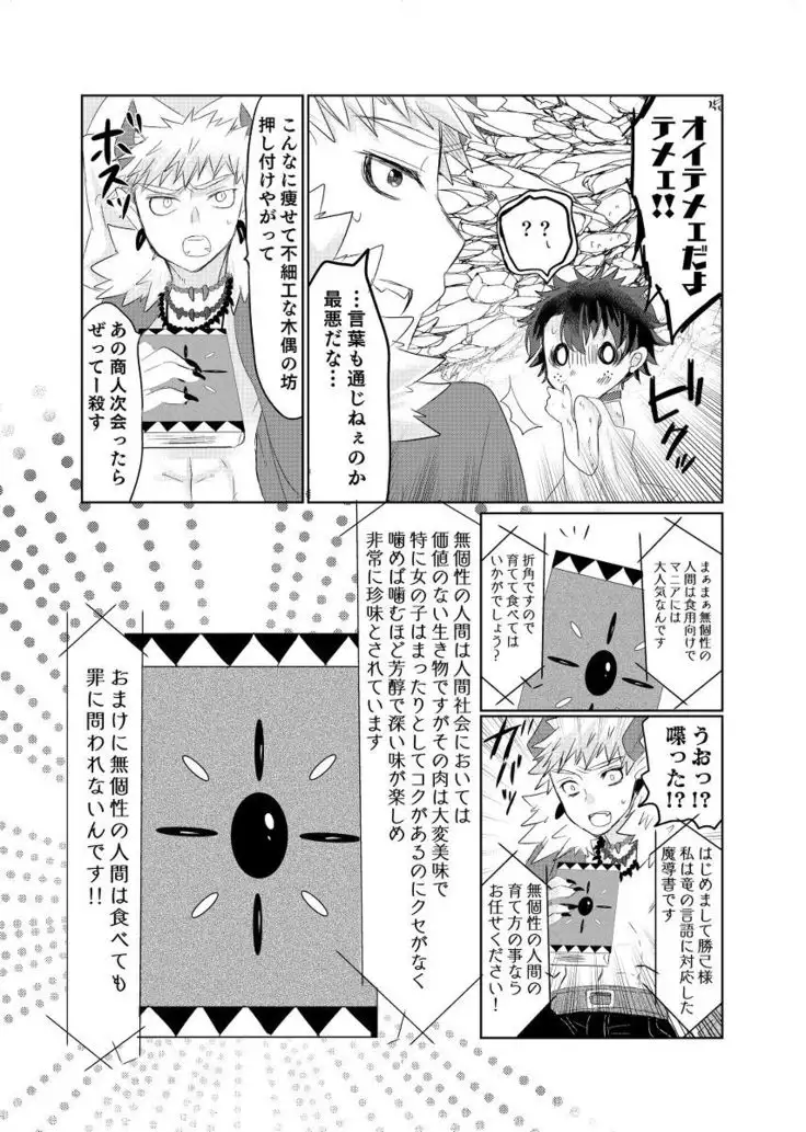 R*C Oishī mu kosei no sodate-kata sample