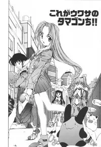 [Emori Misaki] Iiko Ja Irarenai!!