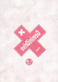 (C73) [Usoppu Land (Amayumi)] Gemini Drive Final