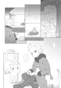 (COMIC1☆4) [Bakuhatsu BRS. (B.Tarou)] Cat Princess (Final Fantasy Gaiden)