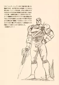 (C51) [Henrei-kai (Kawarajima Koh)] Stratum 500 (Various)