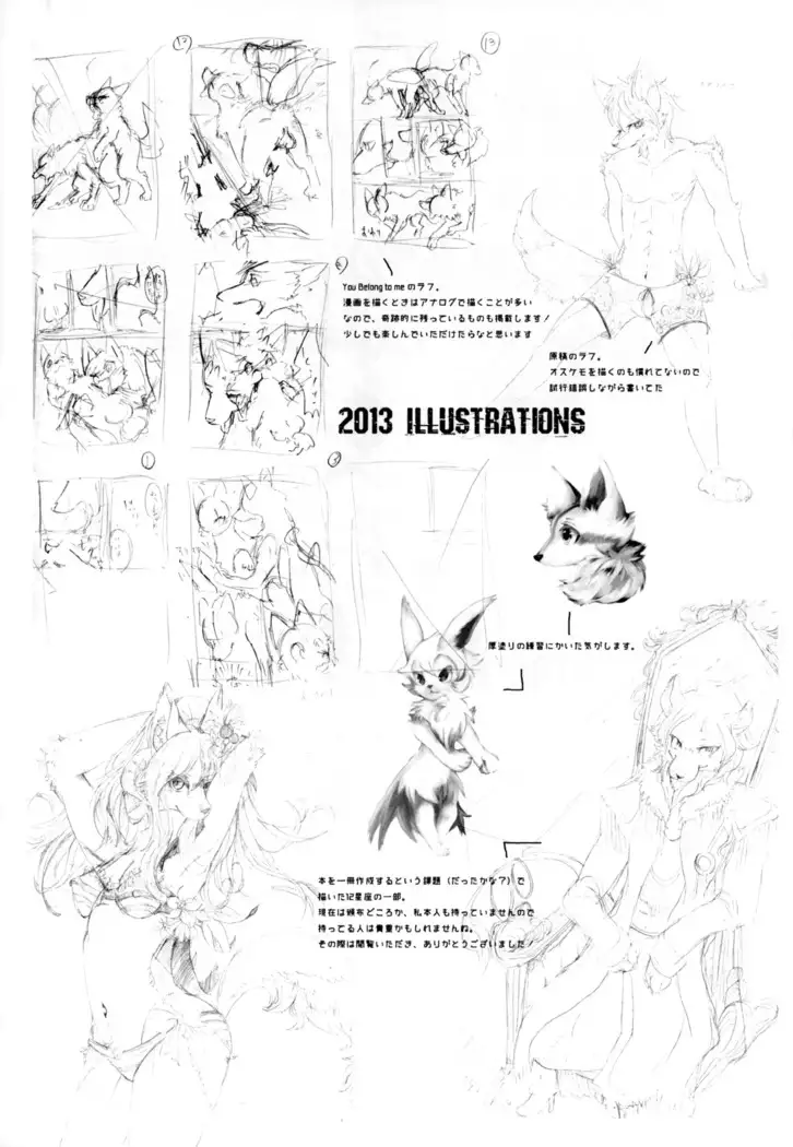 Apocalypse 4 Years 2010-2013