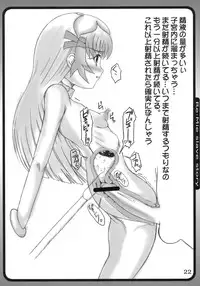 (C71) [Marukin Teikoku (Aim)] Tsundere Shinseiki 2 (Zoid Genesis)