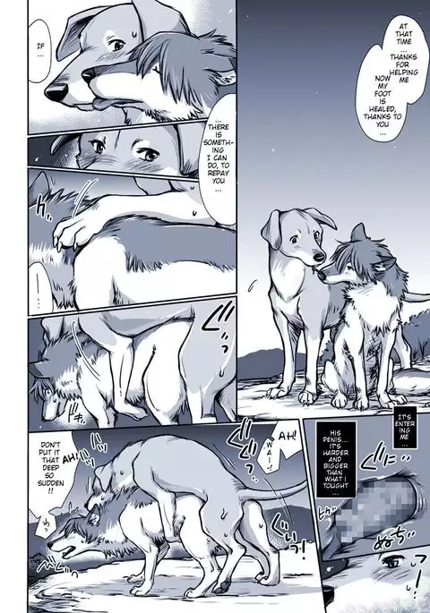 Aru Inu no Baai | A certain dog's situation