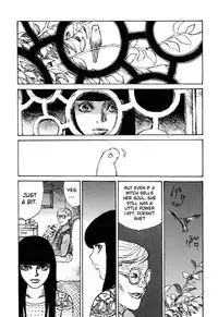 [Matsumoto Jiro] Tropical Citron 1