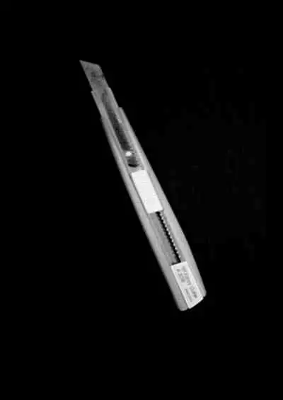 Hoshimiya Ichigo no Chitsu