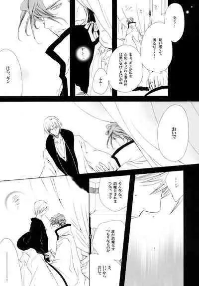 AISIRO Soushuuhen III