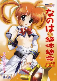 (C73) [TecchiTecchi (Yuzupon)] Nanoha no Zettai Zetsumei Special (Mahou Shoujo Lyrical Nanoha)