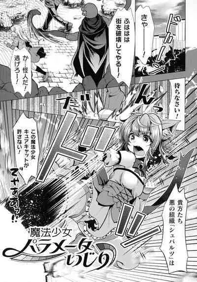 Mahou Shoujo ga Ochiru made - Until the Magical Girl Falls