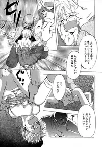 Atou Serina - Mousou Nikki