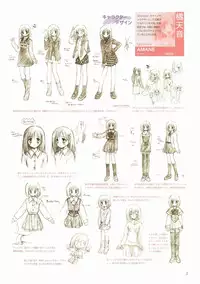 Canvas Visual Fan Book