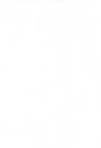 (C68) [Coonelius (Coo)] No-ichigo Hakusho (Ichigo Mashimaro)