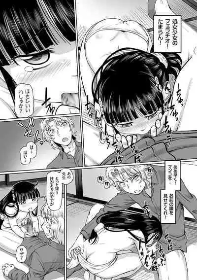 Ginjoku Quest. Otome Zenryoku Koubi Senki