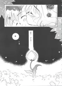 [Anthology] Shining Legend (Magic Knight Rayearth)