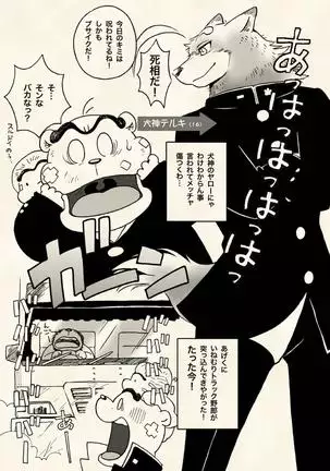 Yokosima Chemose 1985