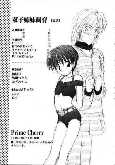 Futago Shimai Shiiku