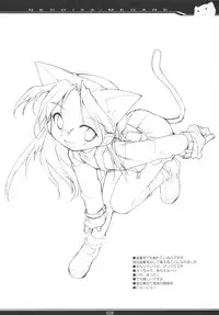 (C66) [PEACE MAKER (E=MC2)] NECO/33/MEGANE