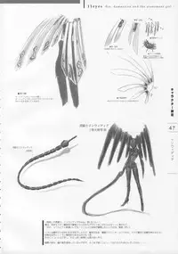 11eyes Tokusei Settei Shiryou Shuu