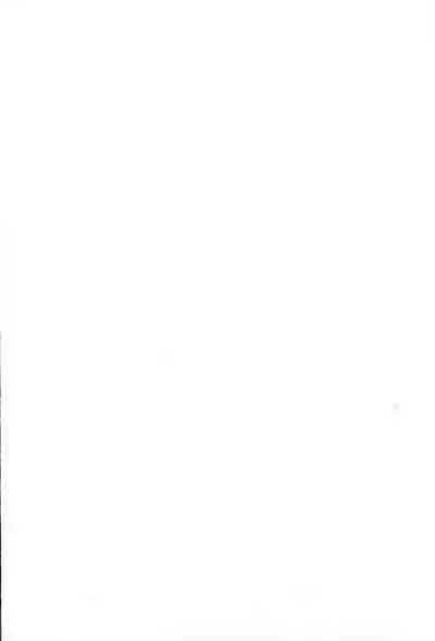 Final Fantasy 13 Fan book (cranberry hearts)