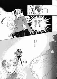 (C65) [Hanakaidou (Hanakaidou Yukio)] The Plastic Moon (Fate/stay night)