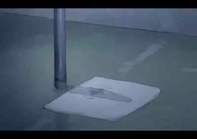 Mihon no Kouyuubutsu 3