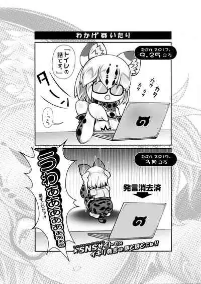 Margay no PPP Management