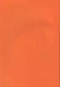 (C67) [Beat Pop (Various)] Kingin Pearl Baby (One Piece)