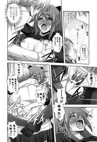 [Nikusoukyuu] Sensei to