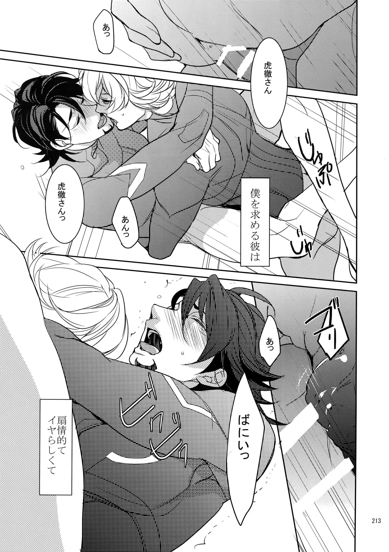 BOROZS Usagi Tora Sairoku