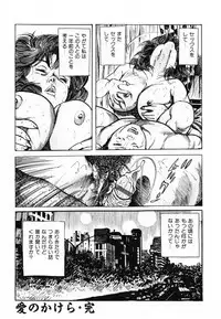 [Misawa Shin] Shakkin Zuma Niku Hensai