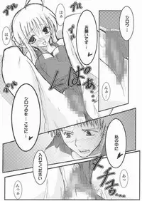 (C66) [TAROTS (Sawano Akira)] THE EMPEROR (Fate/stay night)