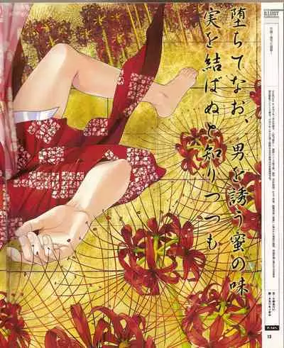 Cool-B Vol.21 2008-09