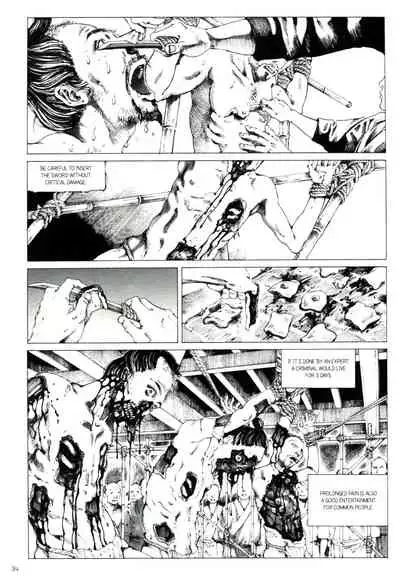 Princess of the Never Ending Castle