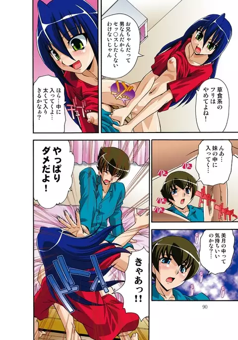 Itsuka Imouto o Okashisou na Ore no Nikuyoku