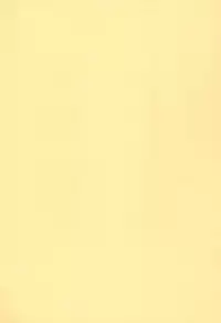 [Onmitsu Mushume (Kirikage Toppy)] Rizel 12-sai (Rizelmine)